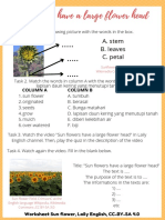 Worksheet Sun Flower, Laily English, CC-BY-SA 4.0