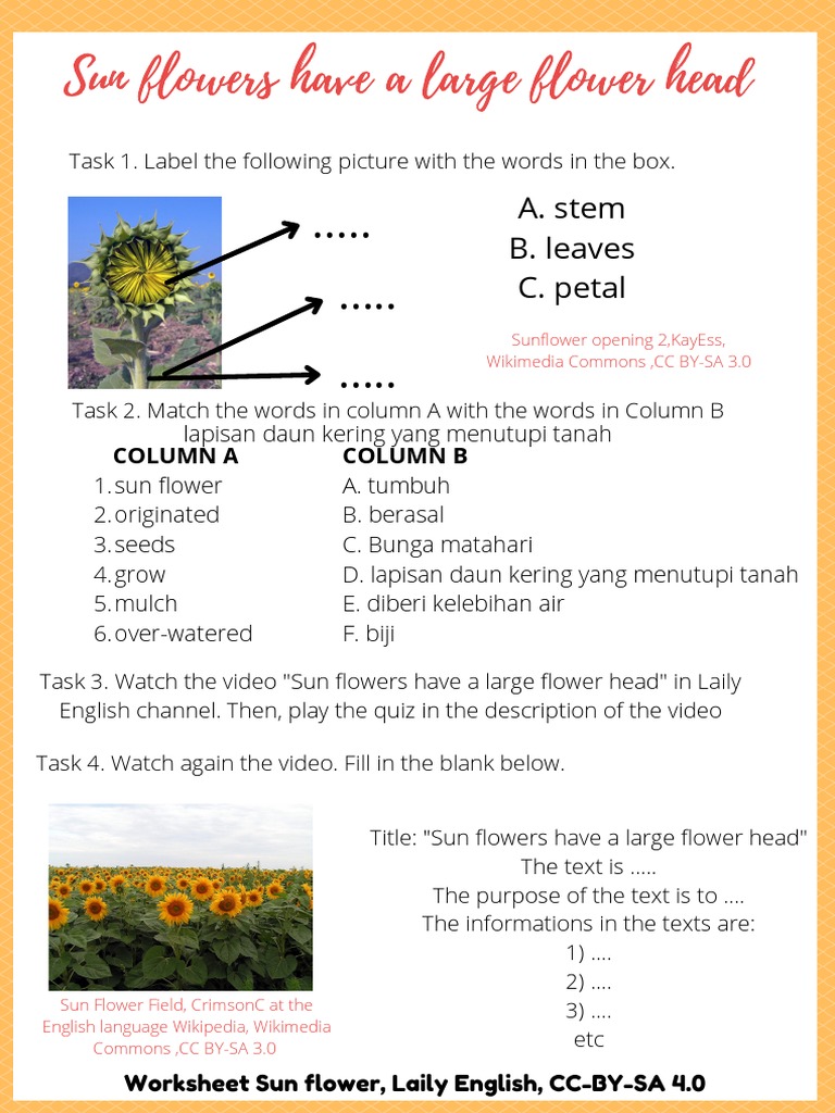 Worksheet Sun Flower, Laily English, CC-BY-SA 4.0 | PDF | Flowers ...