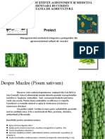 Proiect: Managementul Combaterii Integrate A Patogenilor Din Agroecosistemul Culturii de Mazăre