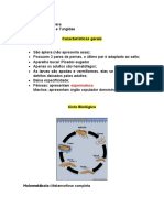 Pulgas e Bicho de Pé: Características e Controle