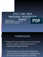 Pigmentações e Calcificações 17.2