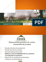 Inta Genetica Porcina Ceres Lloveras Guillermo