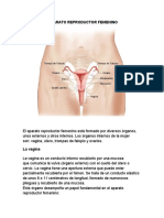 Enfermería Materno Infantil