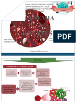 Anemia y Anestesia