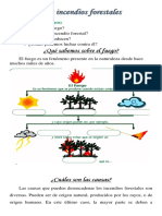 Los Incendios Forestales - 7mo