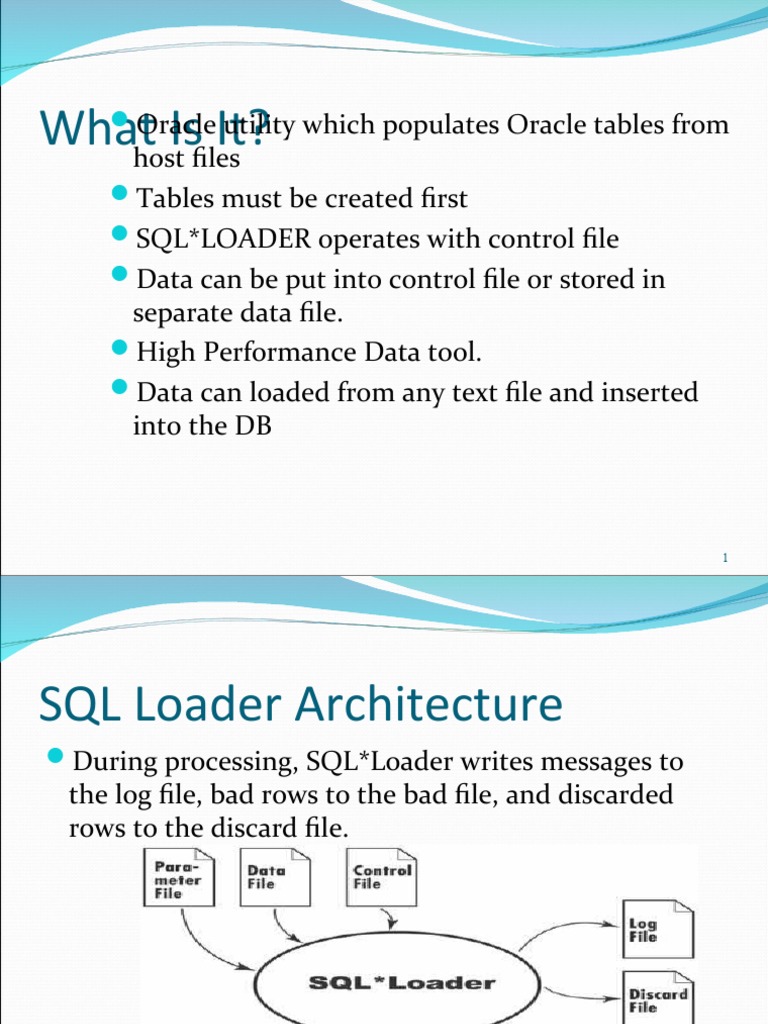 Oracle SQL*Loader: Data Import Guide | PDF | Information Technology ...