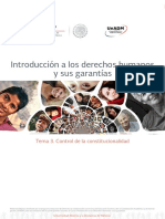 Introducción A Los Derechos Humanos y Sus Garantías: Tema 3. Control de La Constitucionalidad