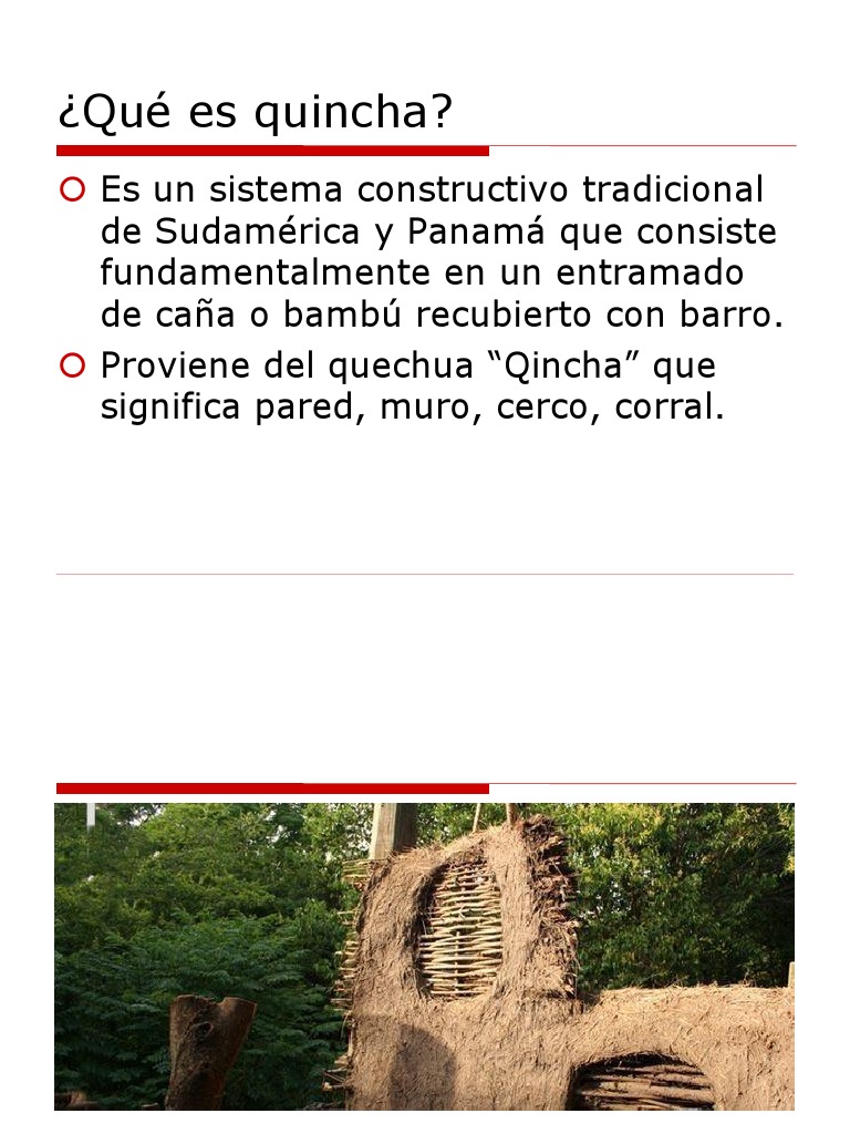 Características y Tipos de Quincha | PDF | Horticultura y jardinería ...