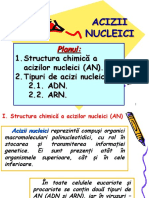 AAAcizii nucleici