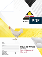 Bovans White CS Cage English Management Report