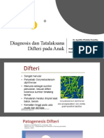 Difteri Seminar Idi 2019