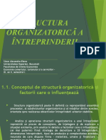 Proiect - Structura Organizationala A Intreprinderii