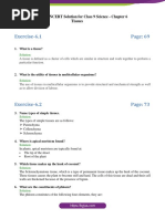 Exercise-6.1: NCERT Solution For Class 9 Science - Chapter 6 Tissues