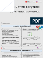 3) CanlÄ Larä N Temel BileÅ Enleri - Organik Maddeler - Karbonhidratlar