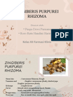 UNTUK DOKUMEN ZINGIBERIS PURPUREI RHIZOMA