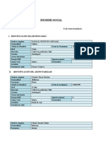 Formato Informe Social