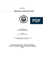 PDF Subdural Hematom