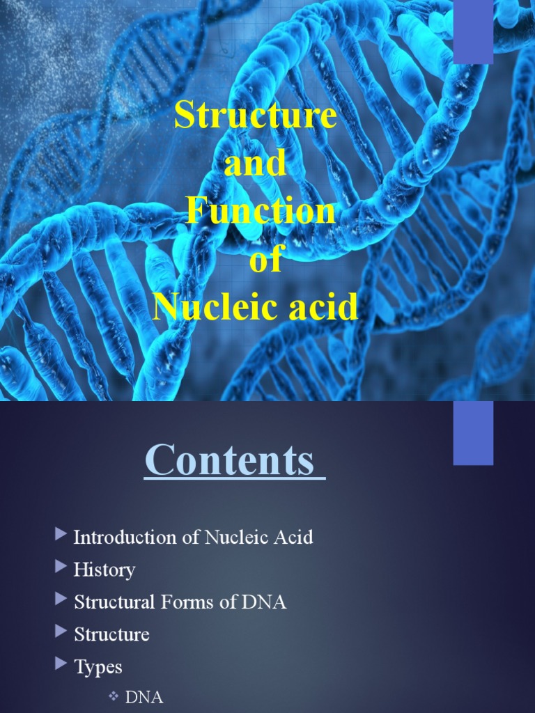 Structure and Function of Nucleic Acid PDF Rna Nucleic Acids