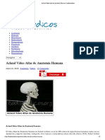 Acland Video Atlas de Anatomía Humana - Booksmedicos