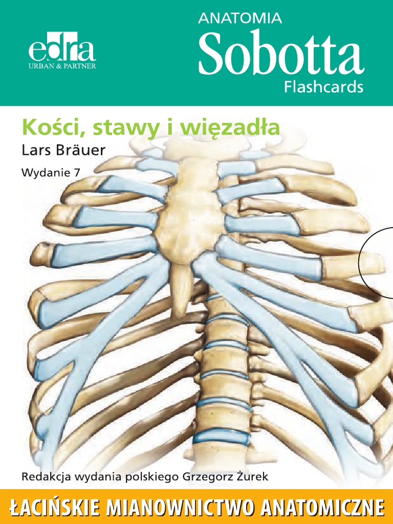 Atlas Anatomiczny Sobotta Pdf Za Darmo