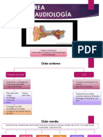 Asesoria Área Audición (1)