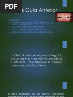 Guìa Anterior