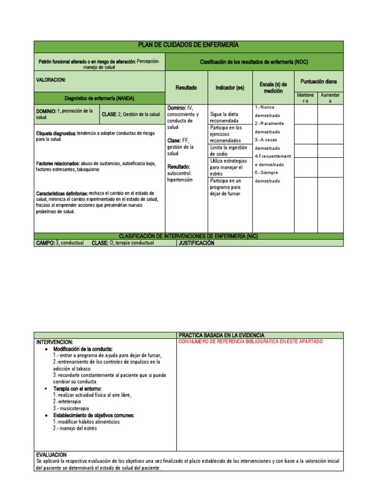 Plan de Cuidados en Promoción de Salud | PDF | Especialidades Medicas ...