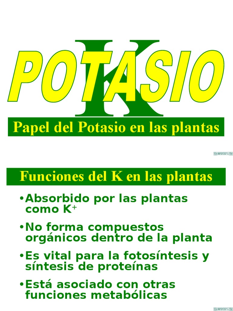 Funciones del Potasio en las Plantas | PDF | Potasio | Dieta y nutrición