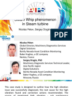 Steam Whip Phenomenon in Steam Turbine: Nicolas Péton, Sergey Drygin