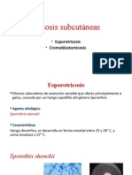 Micosis Subcutáneas