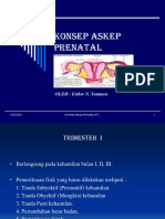 3.ASKEP PRENATAL _D3 IIB