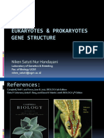 2020 - 1. Eukaryotik - Prokaryotik Gene Structure