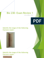 Bio 230-Exam Review 1: Larissa de Moura Cotrim