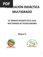 Planeción Multigrado Bloque IV