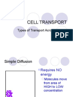 Types of Transport Across The Cell Membrane