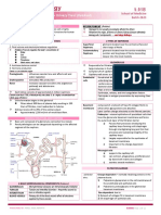 Pathology of The Urinary Tract (Handout)