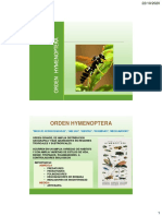 PDF Clase de Hymenoptera