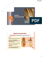 PDF Clase de Phthiraptera