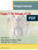Topic 1 Biomolecules 03 Lecture STUDENT 201201 Part1