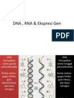 DNA, RNA & Ekspresi Gen