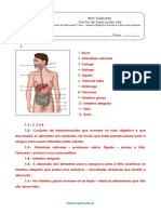 A.2 - Sistema Digestivo humano e de outros animais - Teste Diagnóstico (1) - Soluções