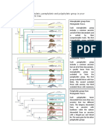 Constructed Phylogenetic Tree.: (E) Identify The Monophyletic, Paraphyletic and Polyphyletic Group in Your