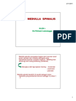 Bbs II Slide Medulla Spinalis