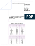 Aprende El Cuerpo Humano en Inglés Con Elabueloeduca. Aprende A Escribir y Pronunciar Las Partes Del Cuerpo Humano en Inglés