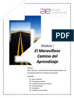 2FAE-Manual Participante-M1-El Maravilloso Camino Del Aprendizaje Vdef