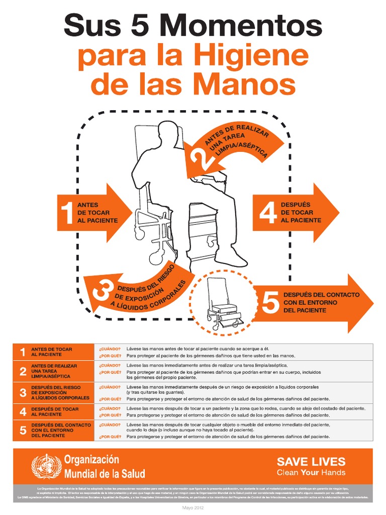 5 - Momentos Lavado de Manos | PDF