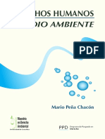 Derechos Humanos y Medio Ambiente (Mario Peña Chacón)
