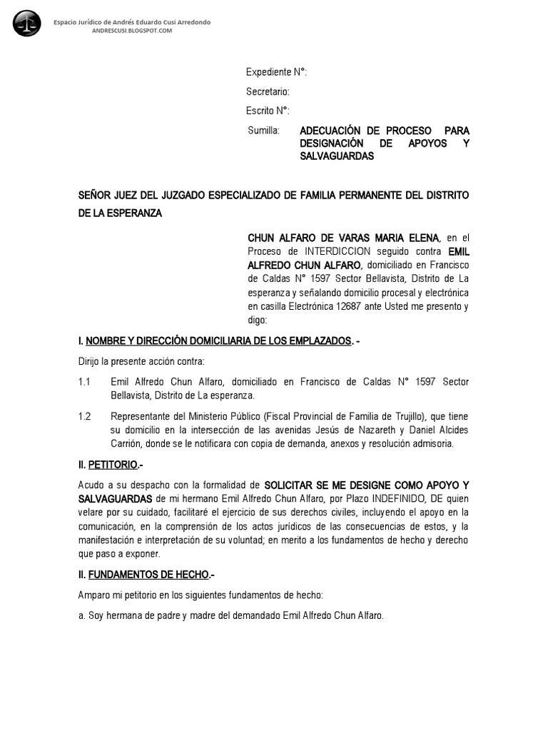 Adecuacion de Apoyos y Salvaguardias | PDF | Demanda judicial | Ley procesal