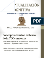 Conceptualización Transv y Longit