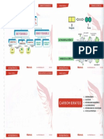 3 BIOQUIMICA_003